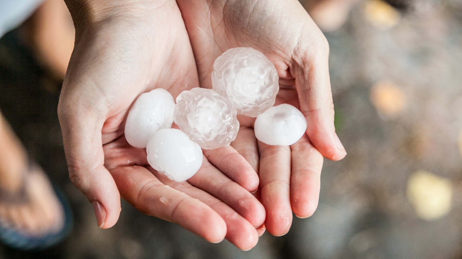 What to Do if Your Car or Home has Hail Damage